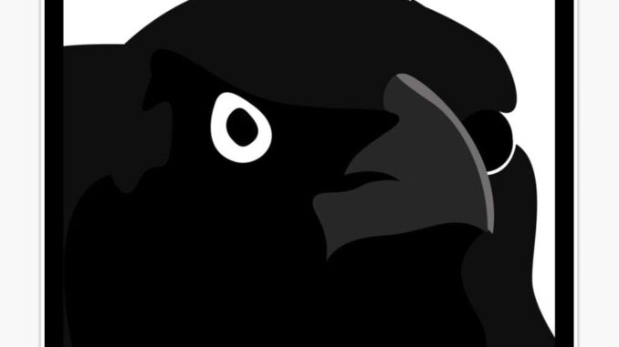 Judgmental crow looks at you scornfully.